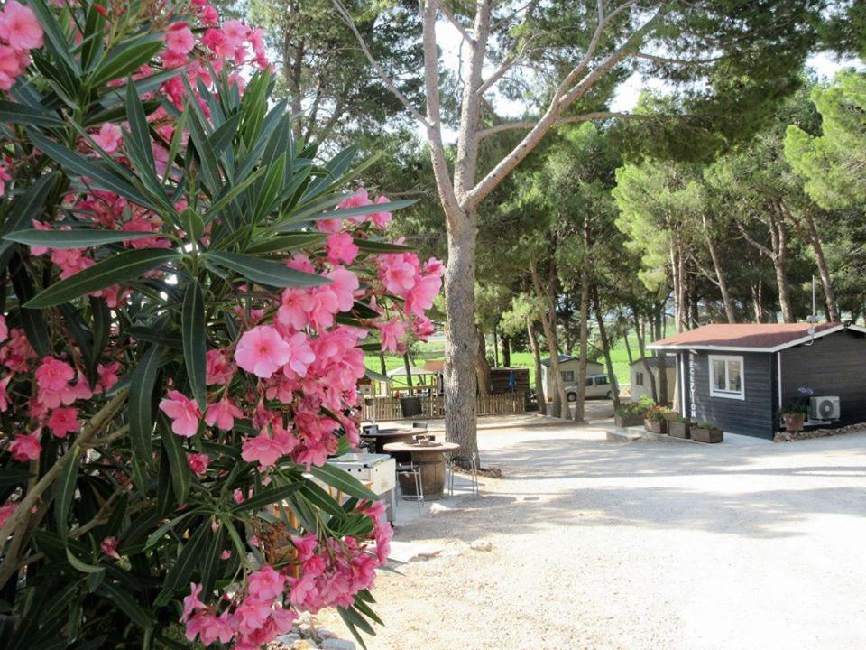 Camping Le Bois De Pins Salses-le-Chateau Zewnętrze zdjęcie